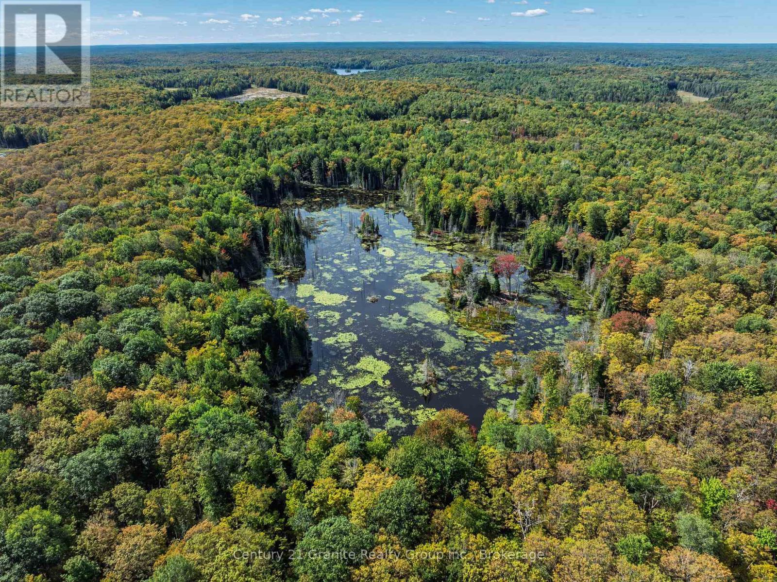 1453 Fleming Road, Minden Hills (Anson), ON