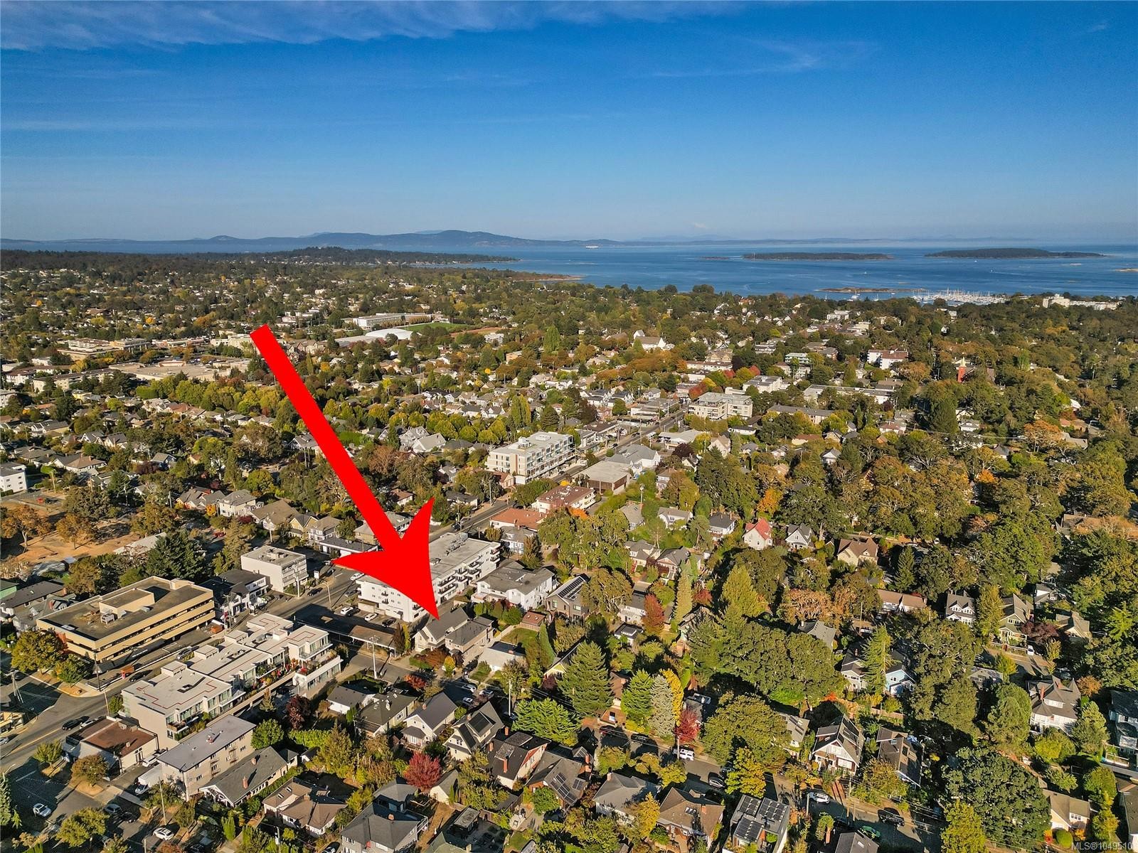 1059 Clare St, Victoria, BC