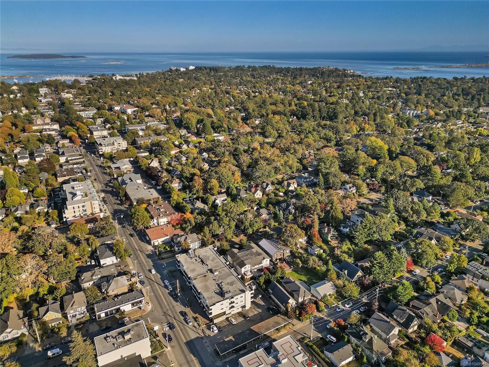 1059 Clare St, Victoria, BC