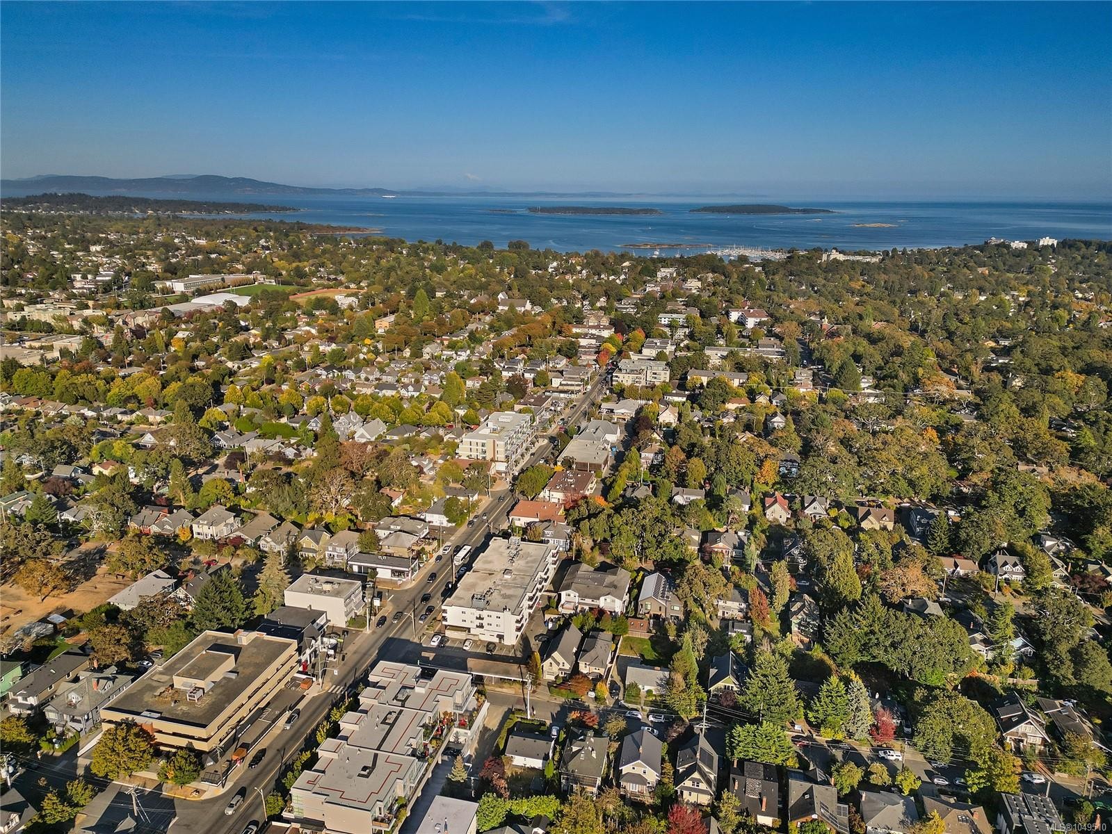 1059 Clare St, Victoria, BC