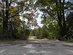 0 FAIRBAIRN ROAD Kawartha Lakes (Verulam), ON K0M 1A0