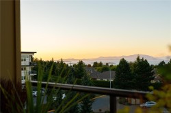 #419-6310 McRobb Ave Nanaimo, BC V9V 1W8