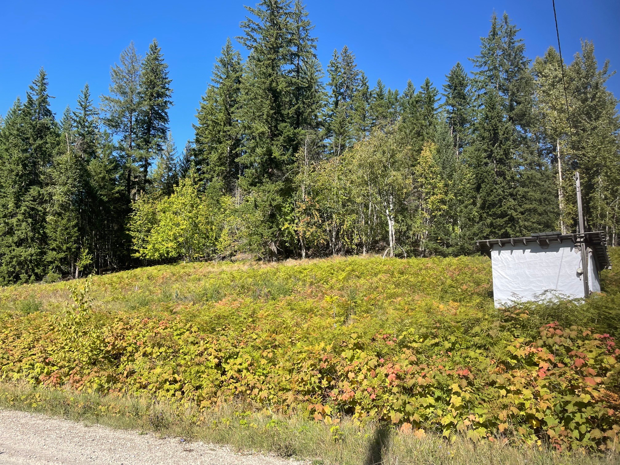 Bartley Road, Nakusp, BC