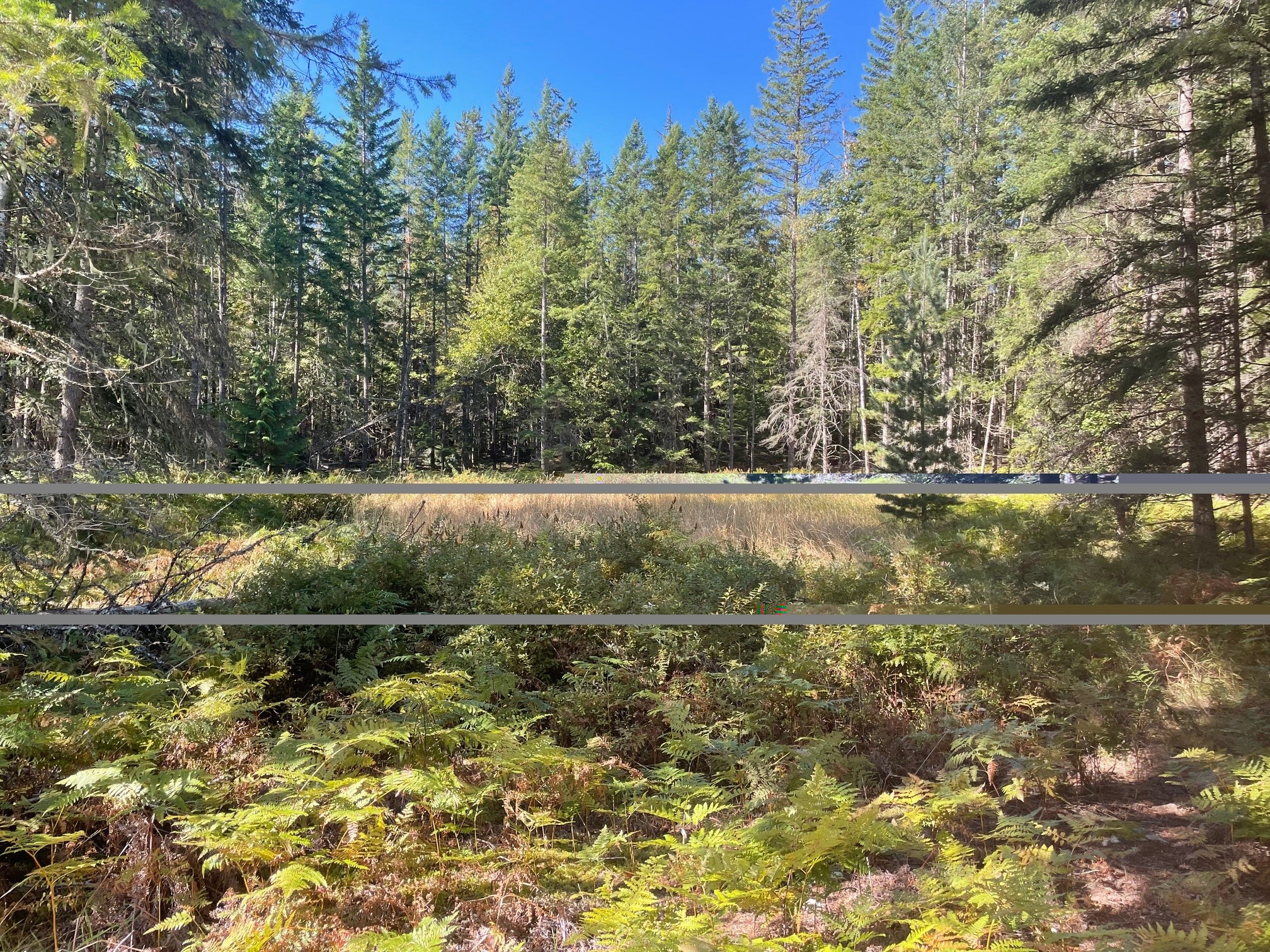 Bartley Road, Nakusp, BC