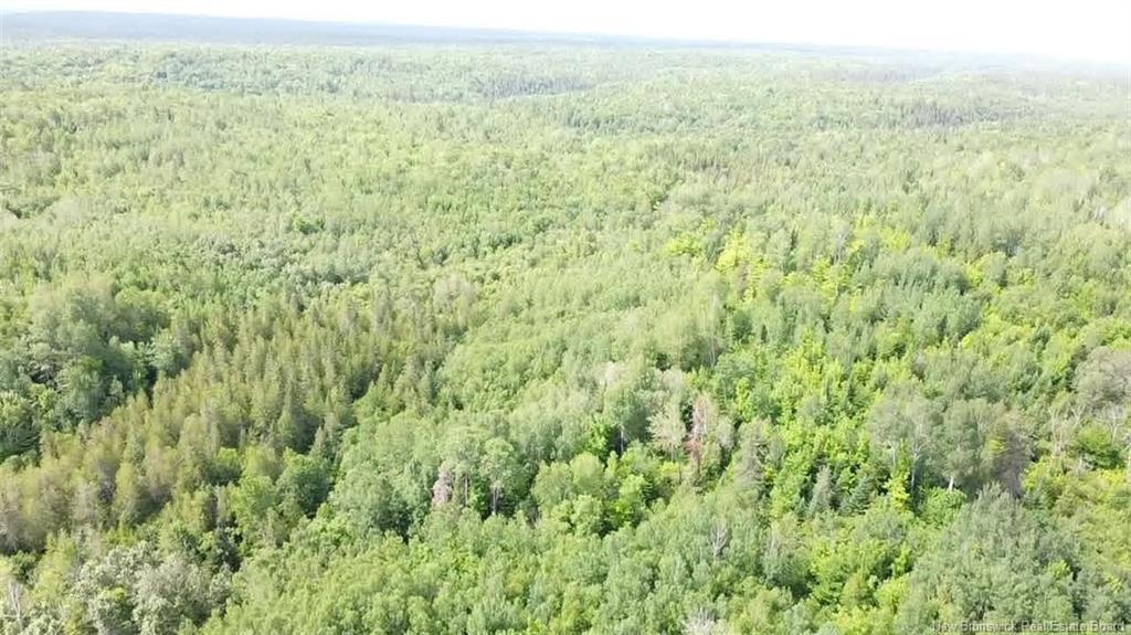 38.8 Acres Lorne, Lorne, NB