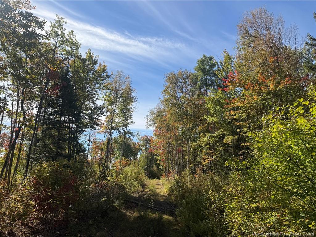 Lot Bettsburg Rd, Bettsburg, NB