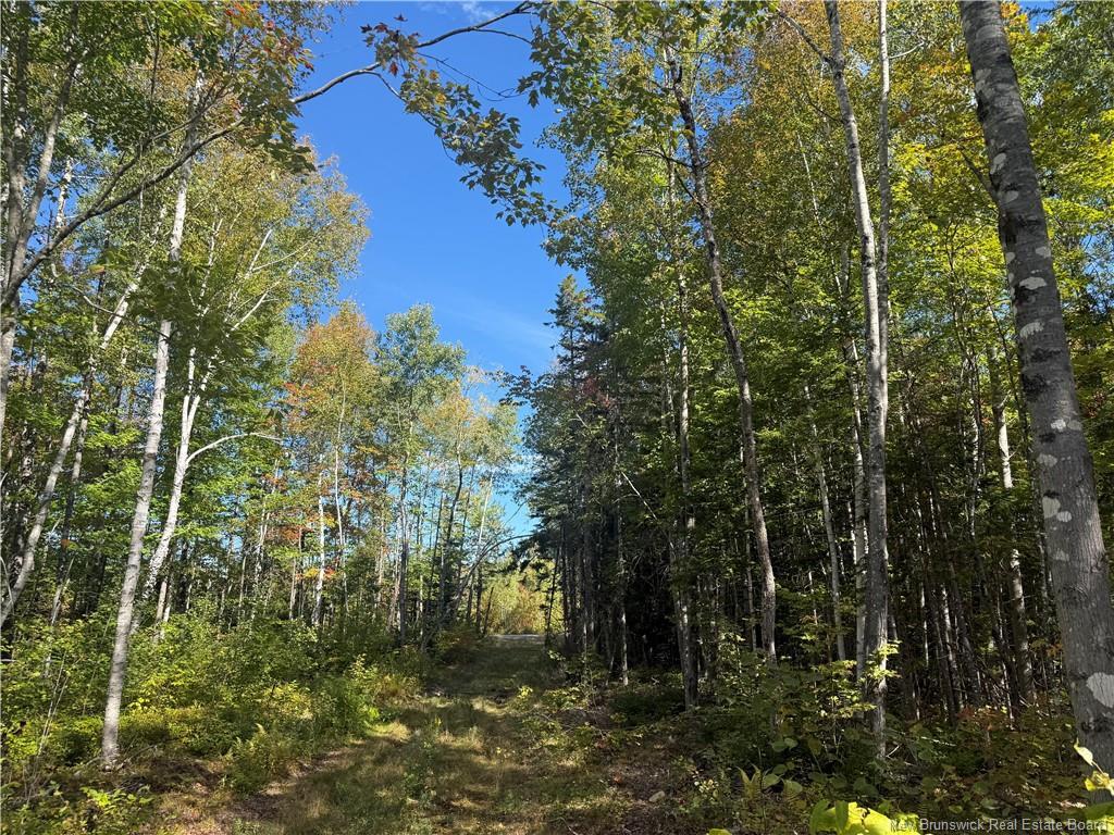 Lot Bettsburg Rd, Bettsburg, NB