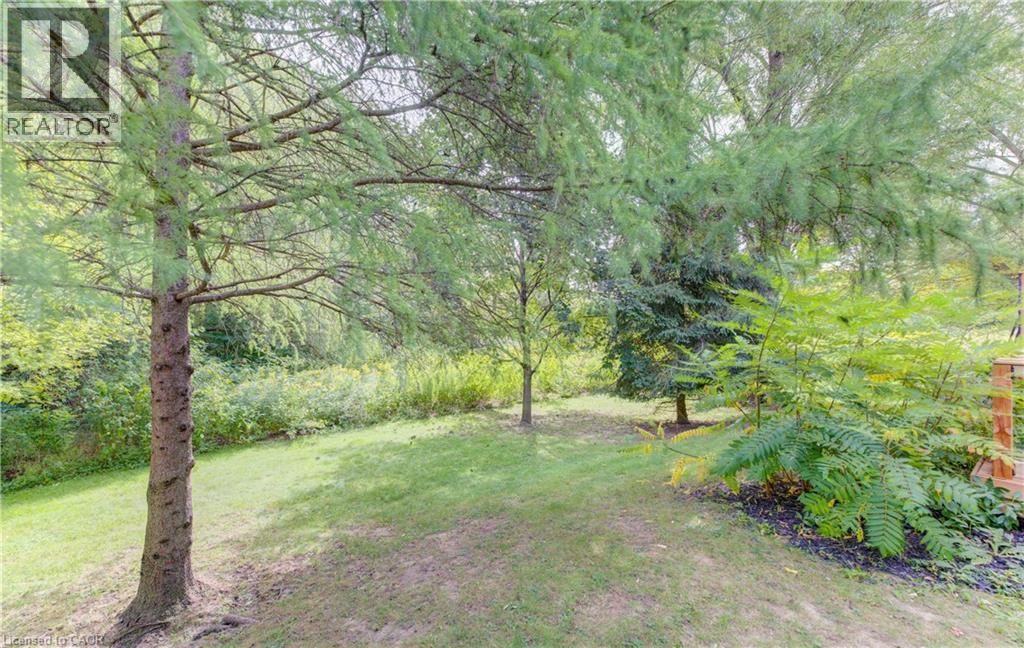 Green space featuring mature trees and established plantings - 25 Bankside Drive Unit# 2, Kitchener, ON