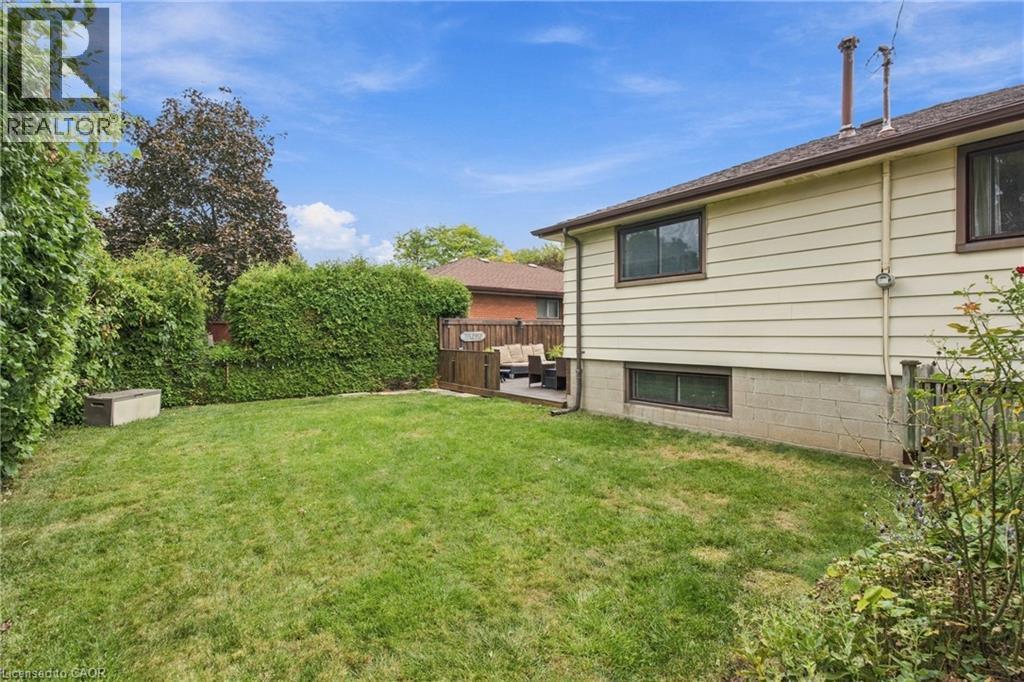 Expansive grass lawn bordered by mature hedges, featuring a wooden privacy fence and an elevated deck with wood flooring - 22 Sycamore Street, Hamilton, ON