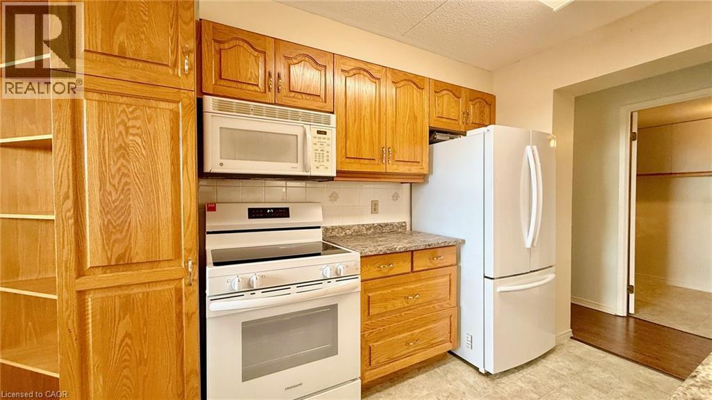 KITCHEN - UPDATED COUNTERTOPS - 2025-11-06 - 5 Mill Pond Court Unit# 604, Simcoe, ON