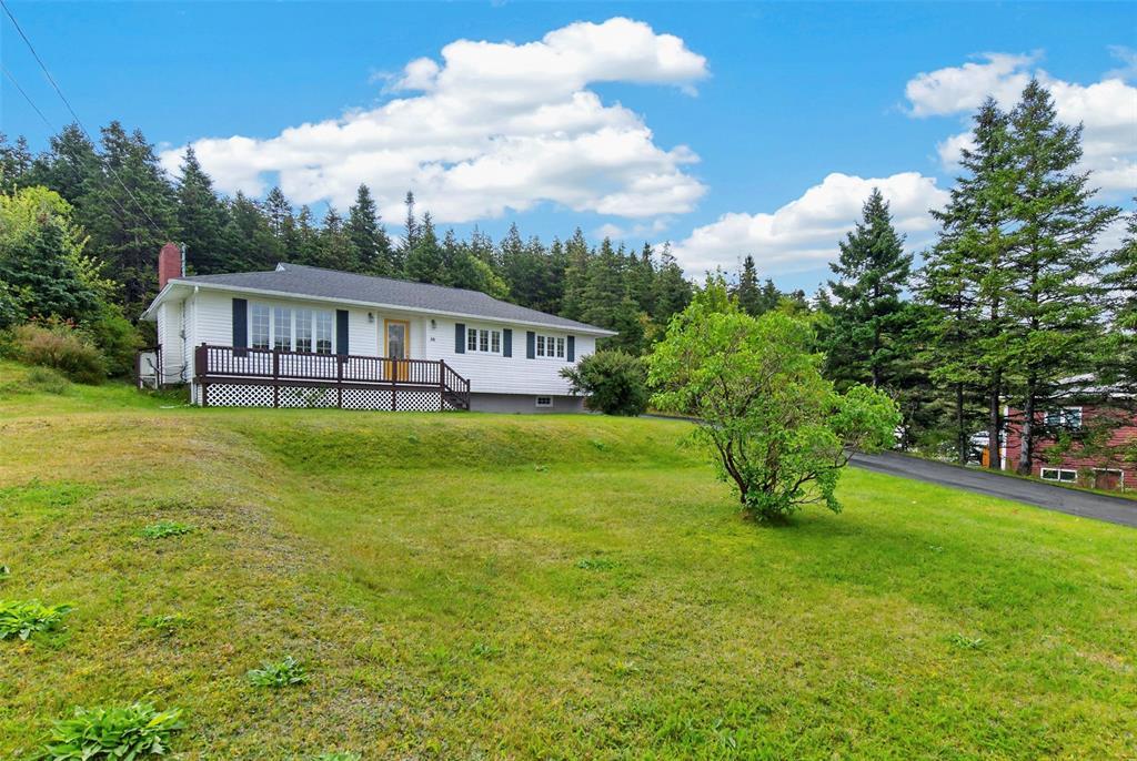 38 Cranes Road, Spaniards Bay, NL
