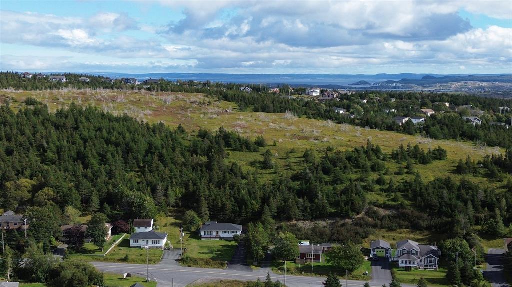 38 Cranes Road, Spaniards Bay, NL