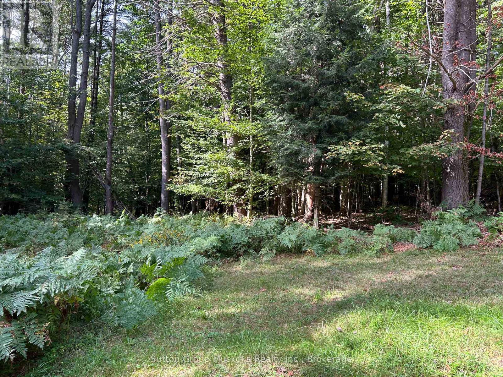 Side Yard - 120 Line Hill Road, Huntsville (Chaffey), ON