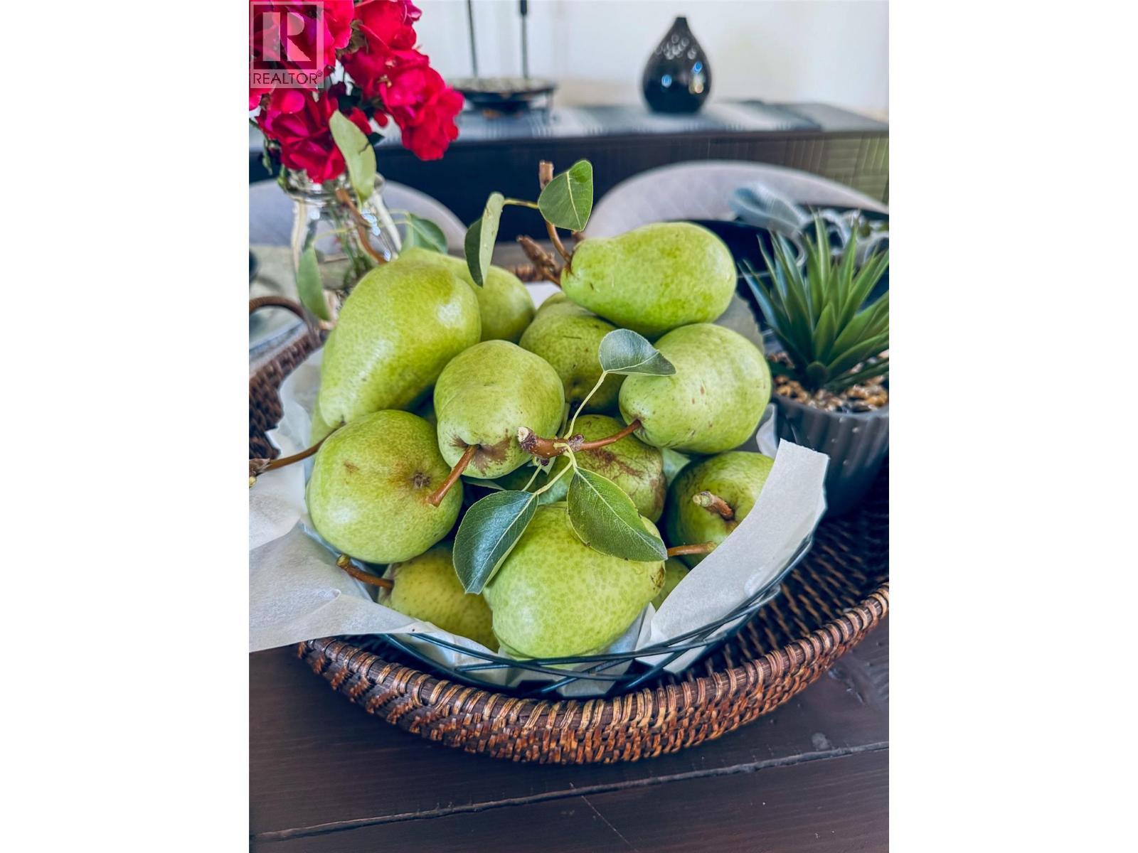 pear tree - 1113 Mt Fosthall Drive, Vernon, BC