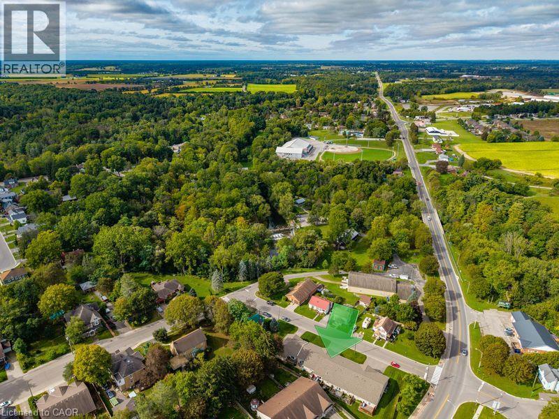 Aerial perspective of a residential area with established trees - 123 Mill Street, Delhi, ON