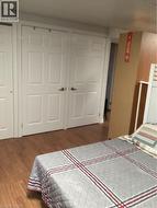 Dual white-paneled closet doors featuring metallic hardware and wood-finish flooring -