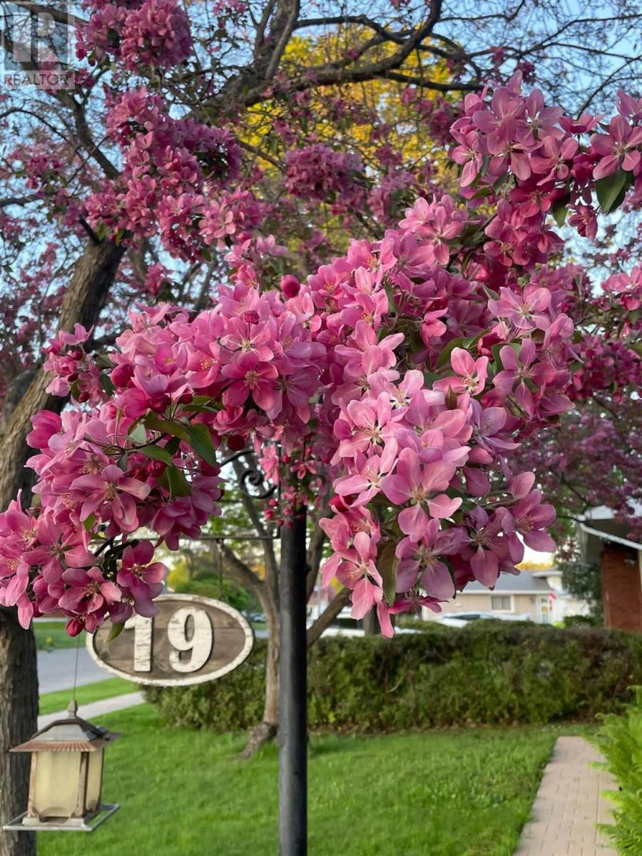 19 Illinois Ave, Sault Ste. Marie, ON