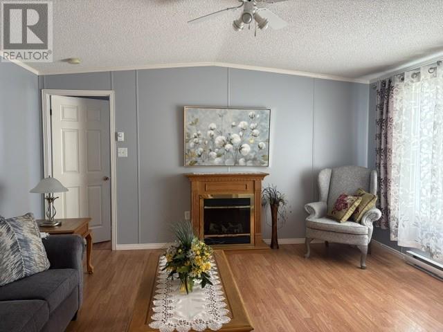 7 Ronald Lane, Stephenville, NL