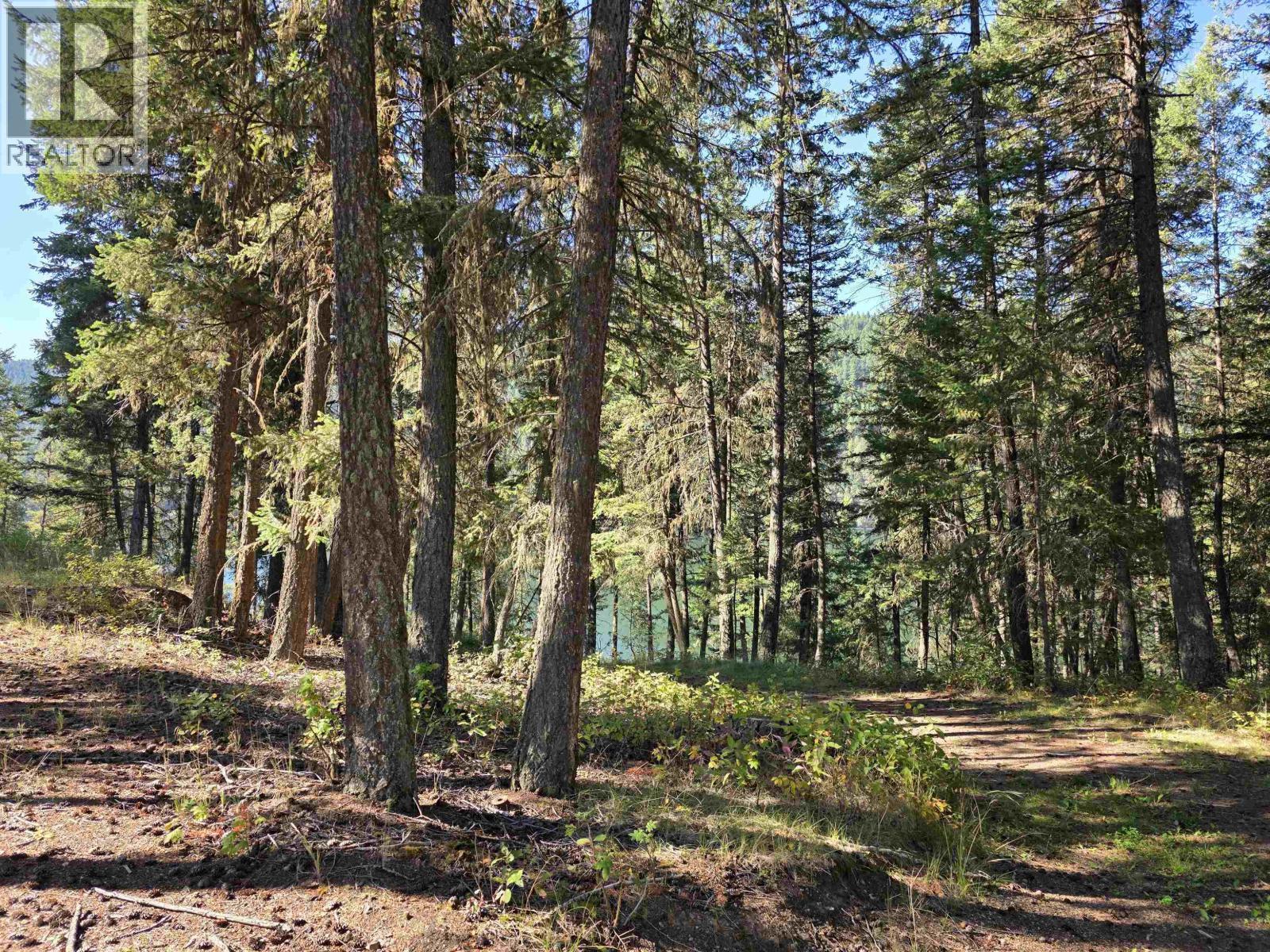 Lot 1 Mcleese Lake Road, Williams Lake, BC