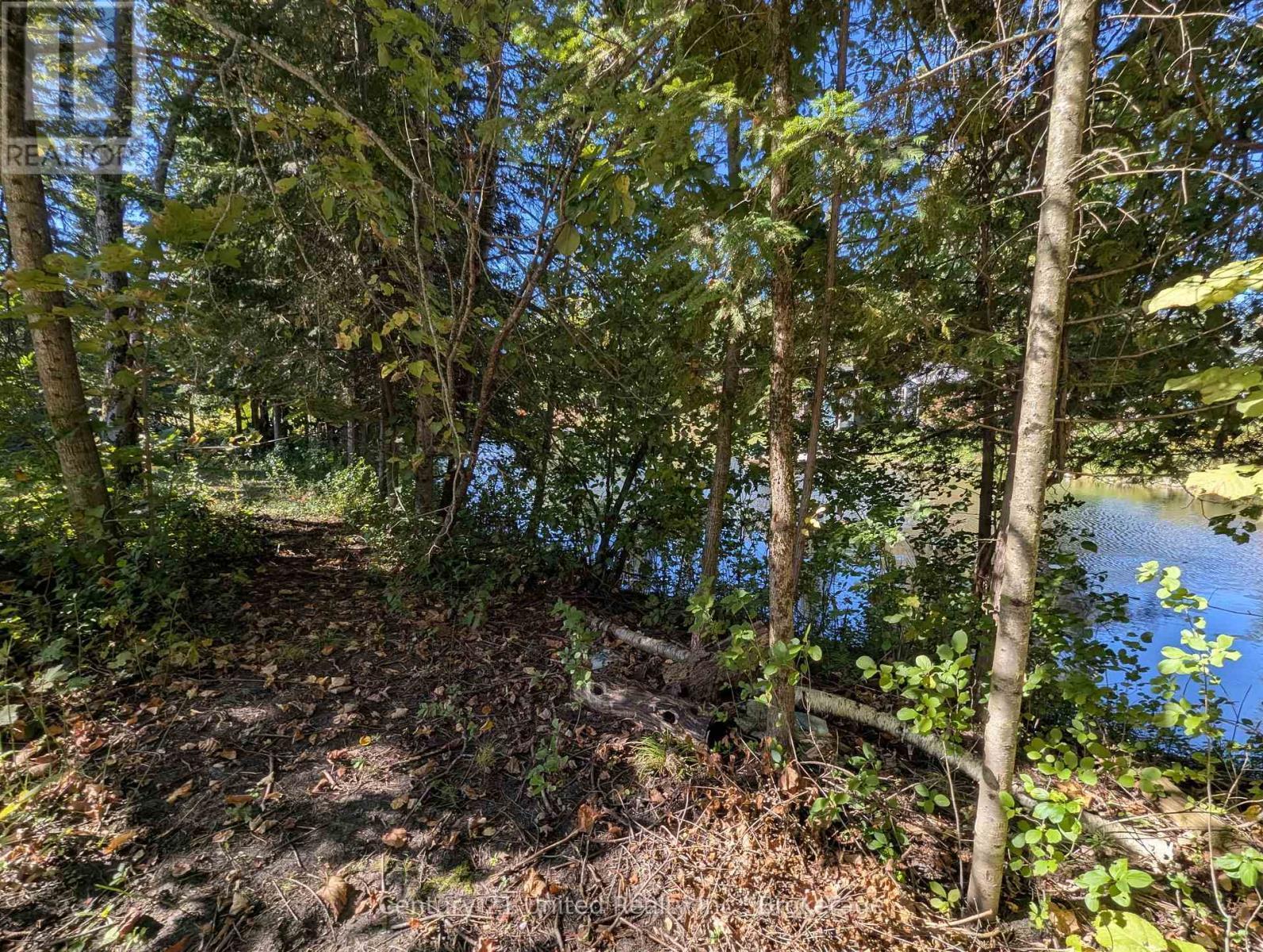 63 Fire Route 104, Kawartha Lakes (Bobcaygeon), ON