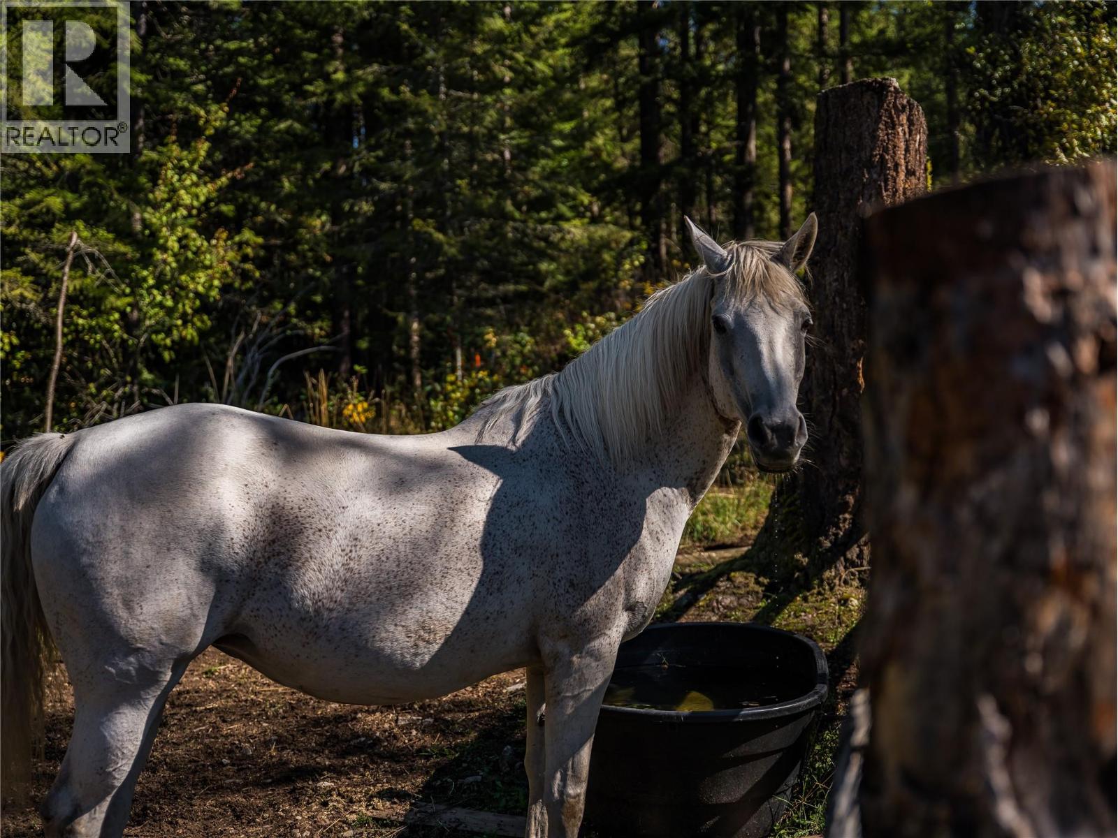 4604 Blewett Road, Nelson, BC
