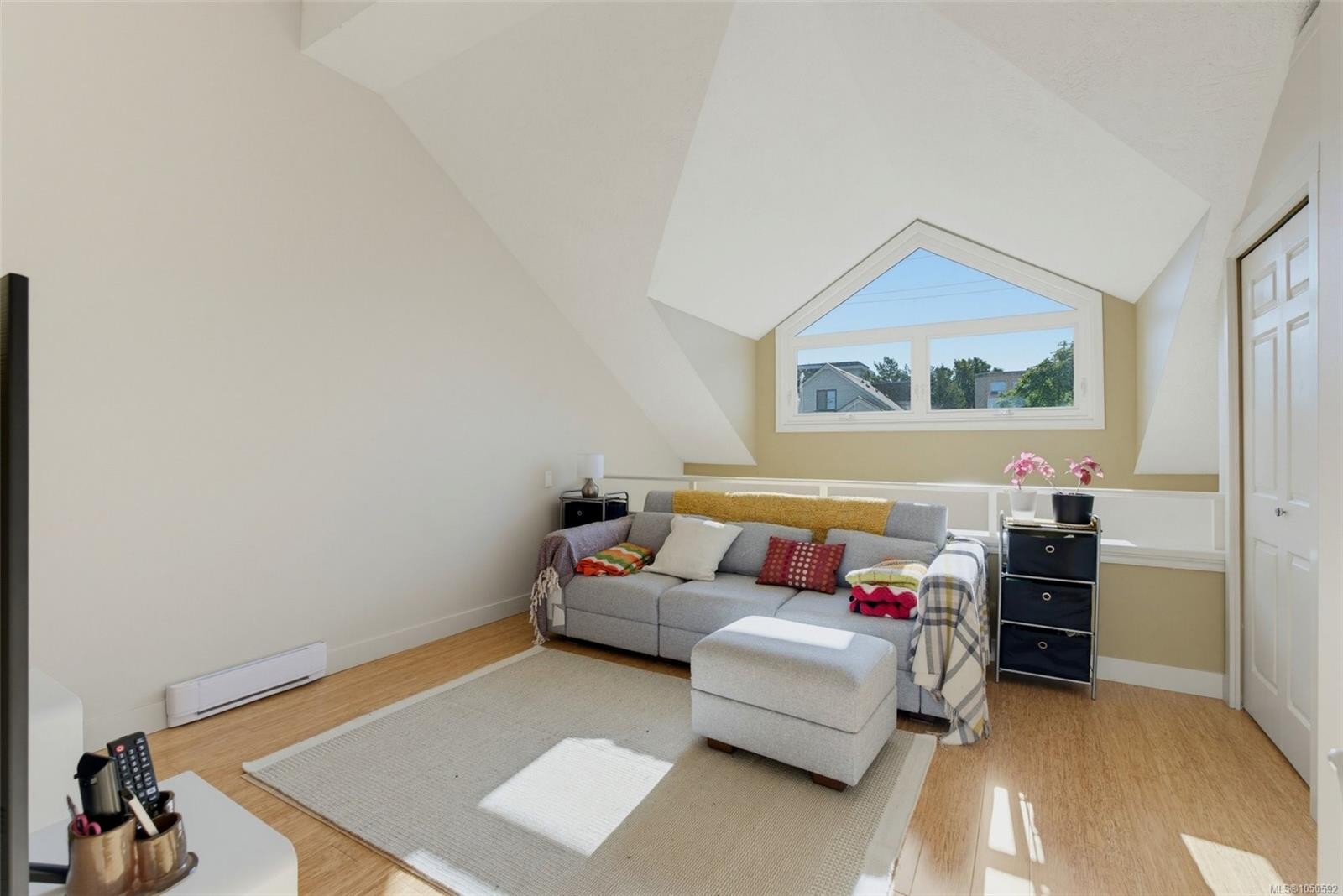 #2-20 Menzies St, Victoria, BC