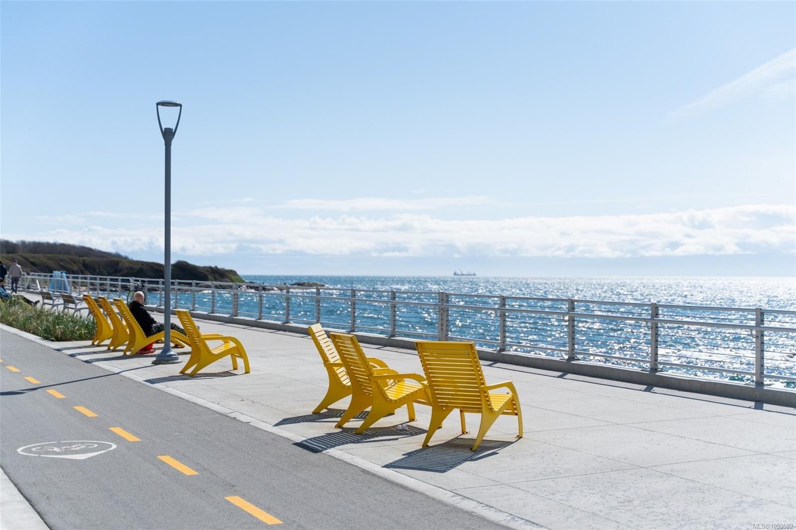 #2-20 Menzies St, Victoria, BC
