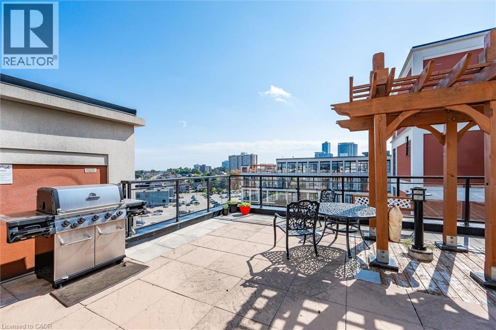 Roof Top Terrace - 410 King Street W Unit# 112, Kitchener, ON