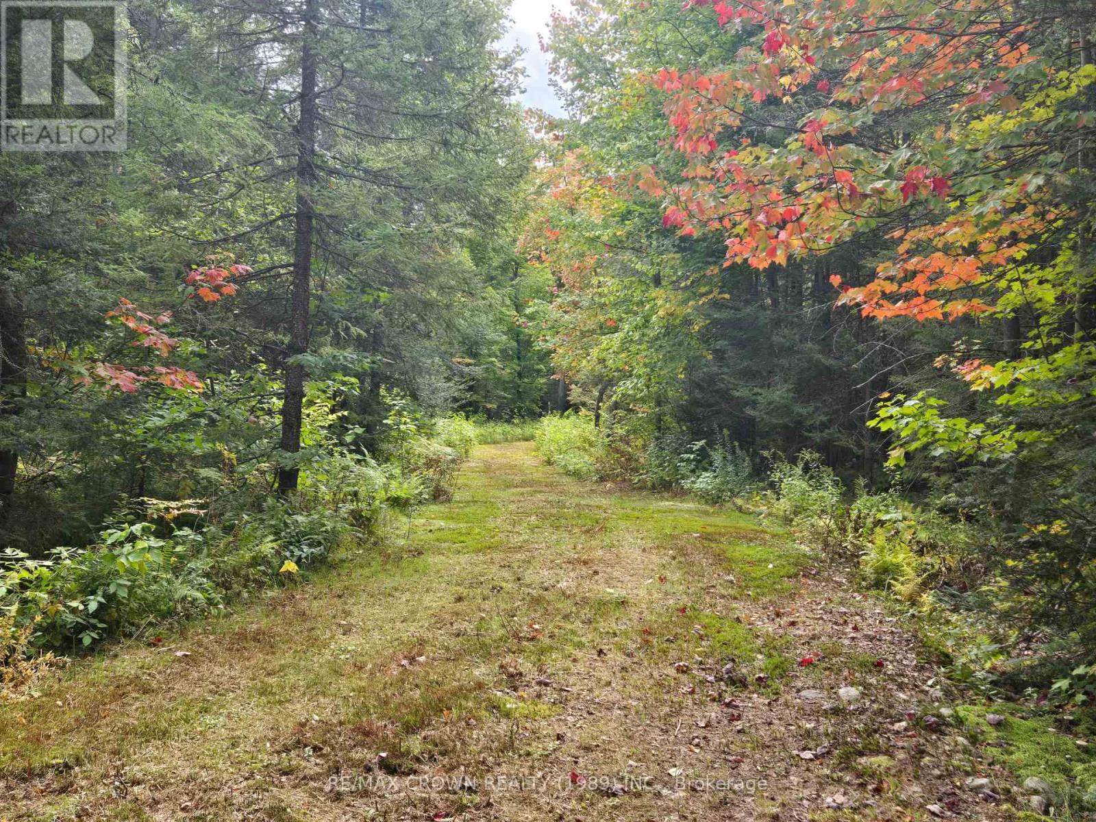 135 Simpson Hill Road, Machar, ON