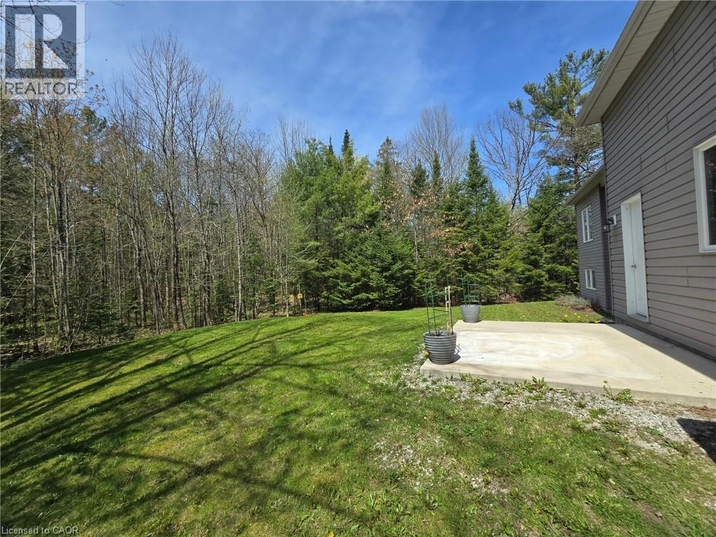 Expansive green lawn bordered by a mix of mature deciduous and evergreen trees - 2516 Irish Line, Coldwater, ON
