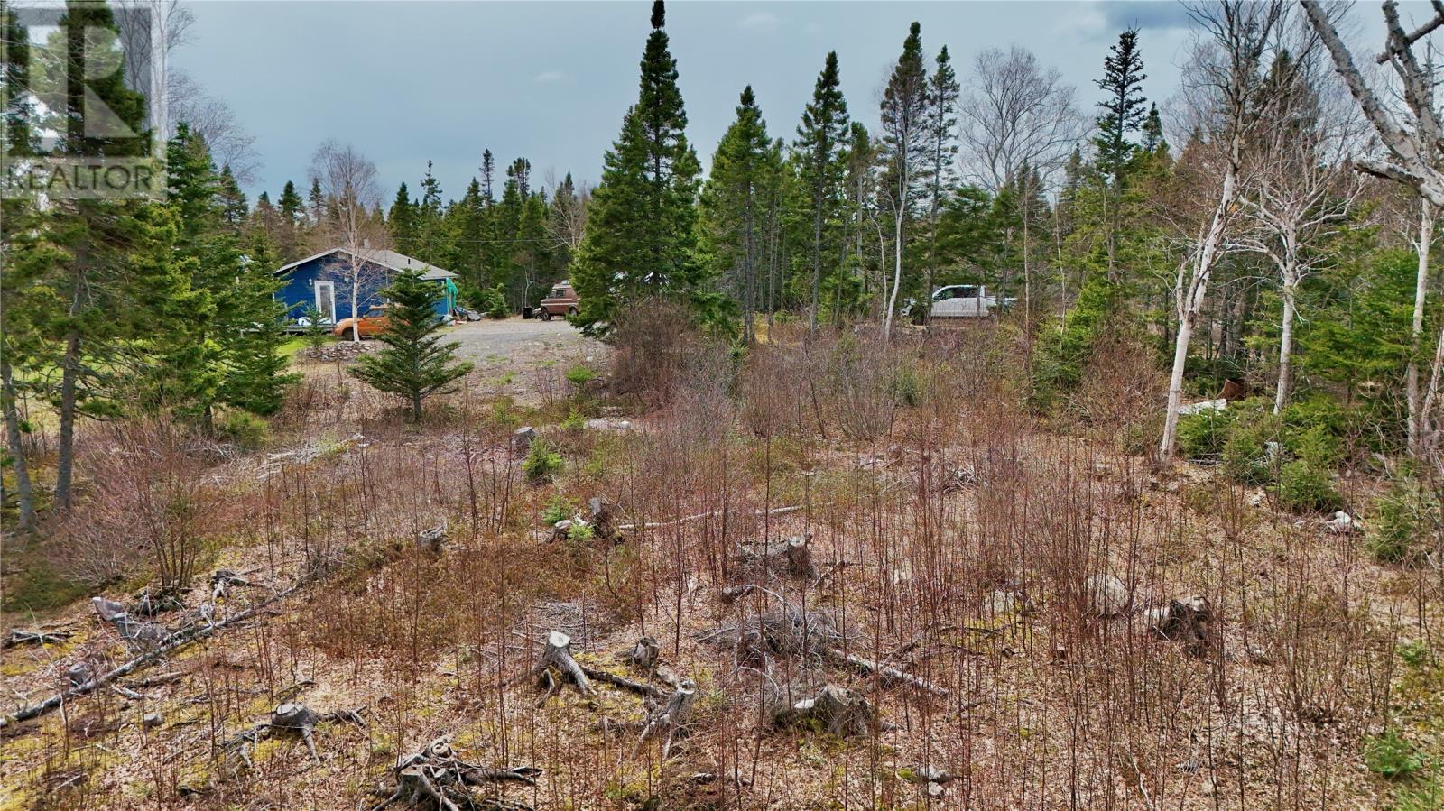 Lot 1 Angle Pond Road, Thorburn Lake, NL