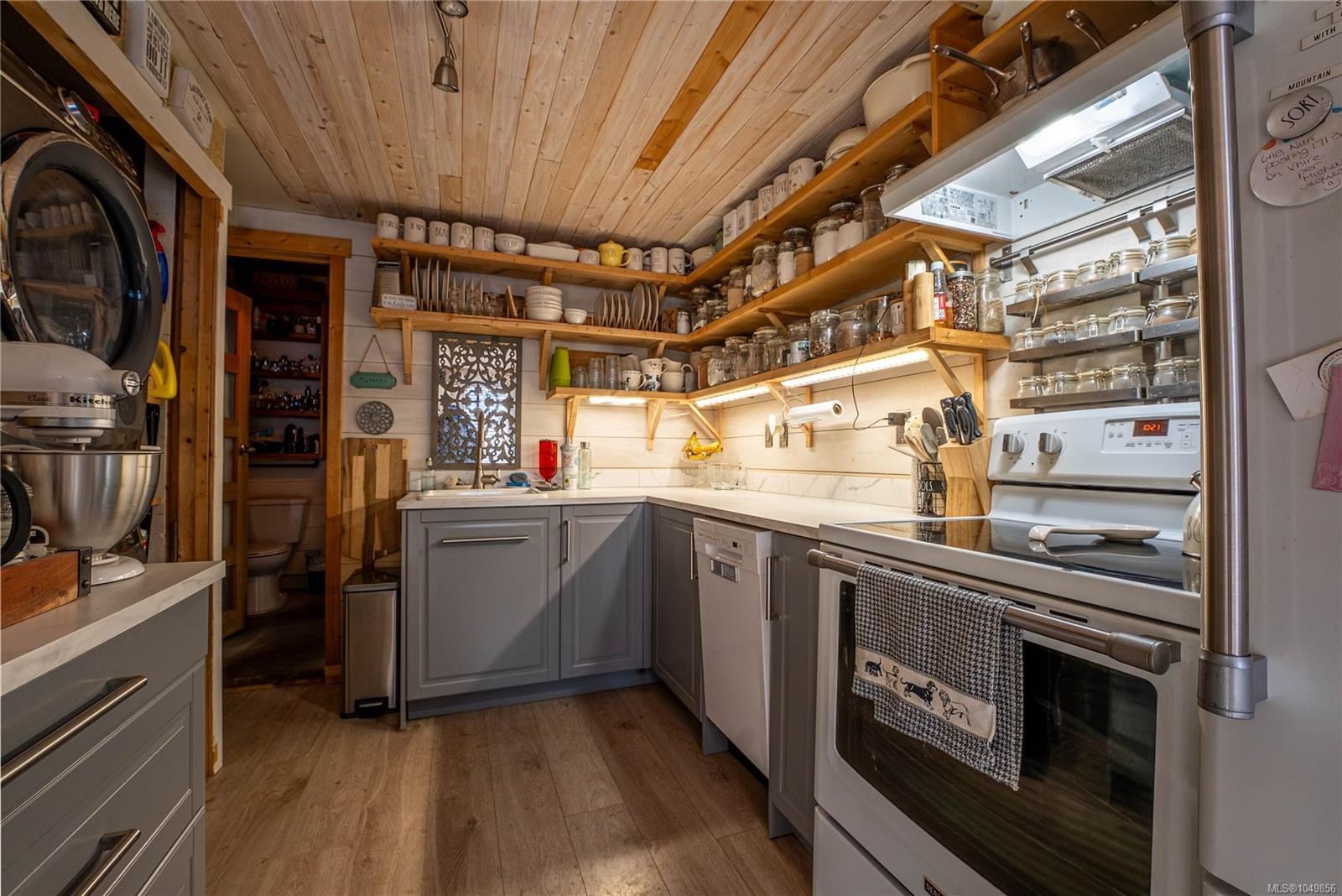 1011 Costin Ave, Langford, BC