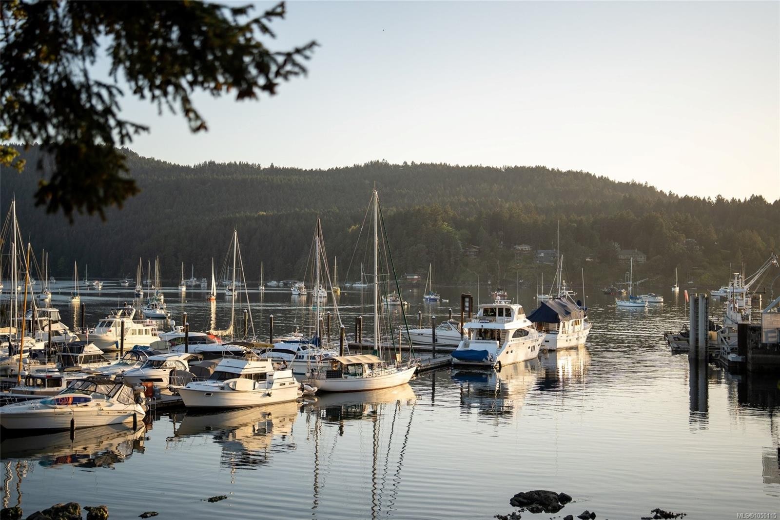 1055 Clarke Rd, Central Saanich, BC