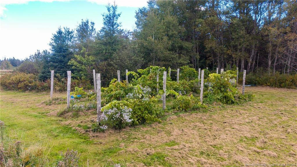 394 Collins Lake Rd, Shemogue, NB