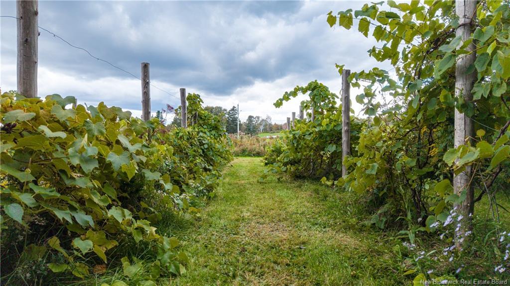 394 Collins Lake Rd, Shemogue, NB