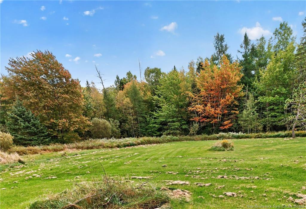 14 Salisbury Back Rd, Colpitts Settlement, NB