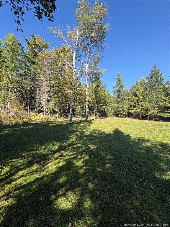 750 Back Rd, Lyttleton, NB