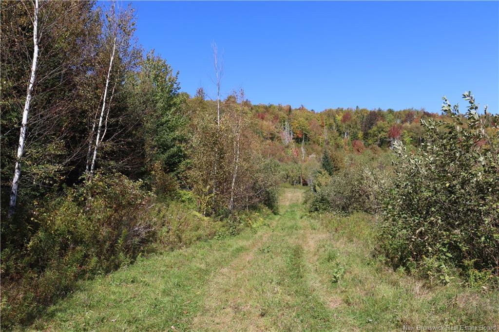 1703 Route 121, Norton, NB