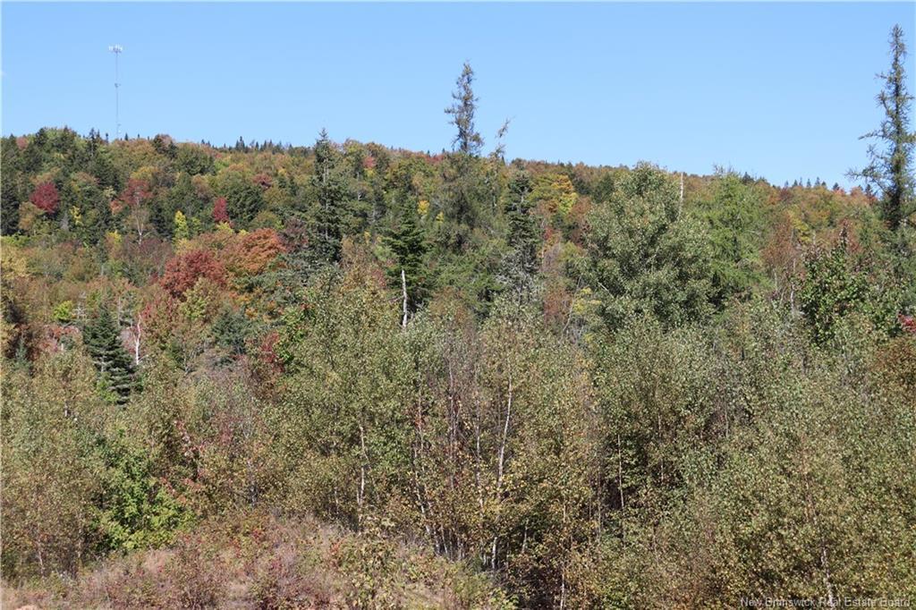 1703 Route 121, Norton, NB