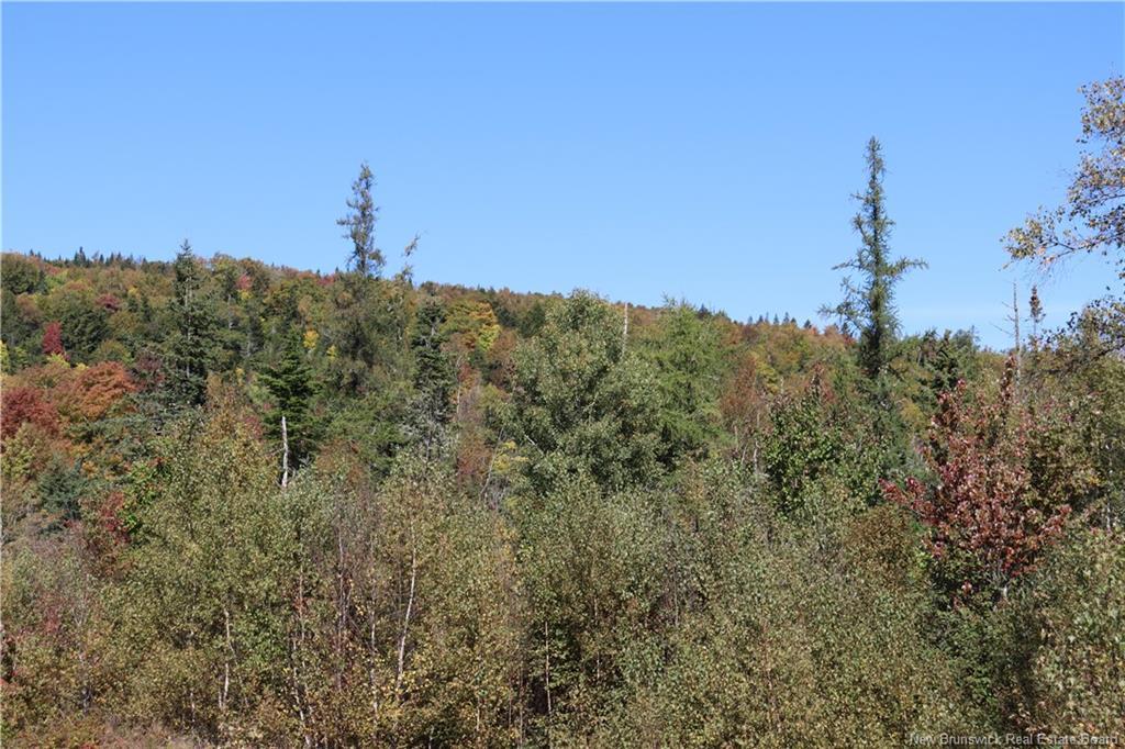 1703 Route 121, Norton, NB