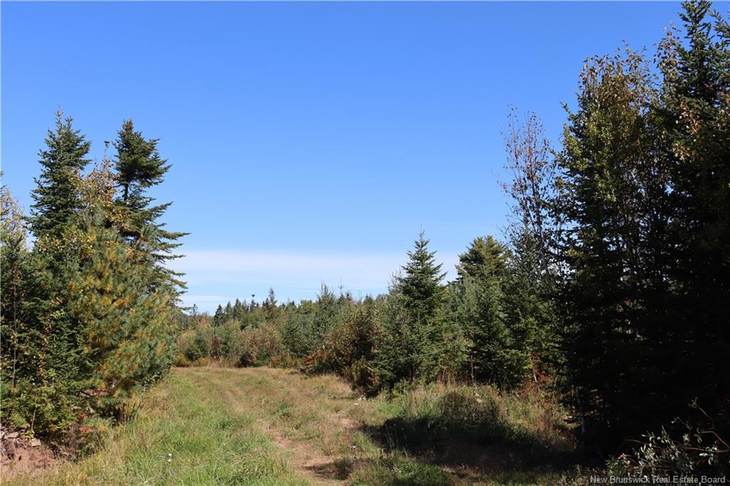 1703 Route 121, Norton, NB