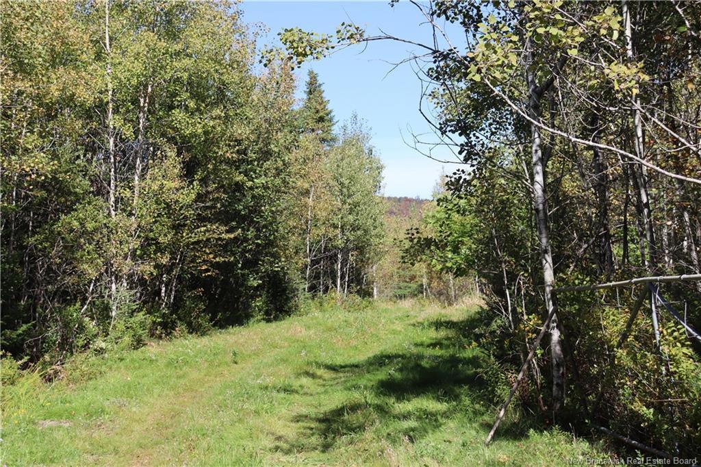1703 Route 121, Norton, NB