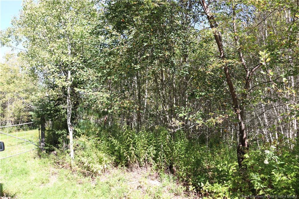1703 Route 121, Norton, NB