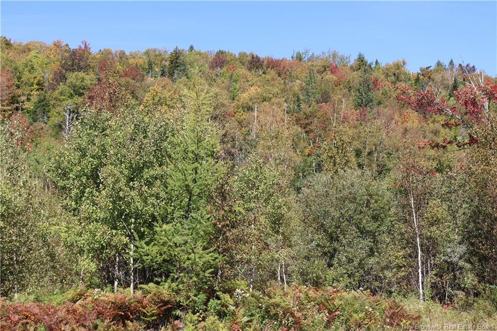 1703 Route 121, Norton, NB