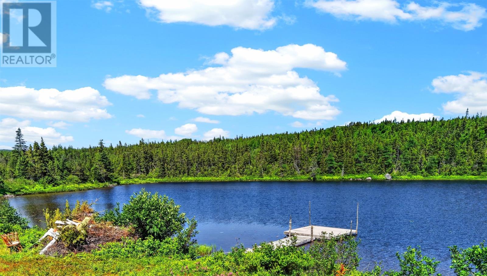 00 Big Pond Road, Hickmans Harbour, NL