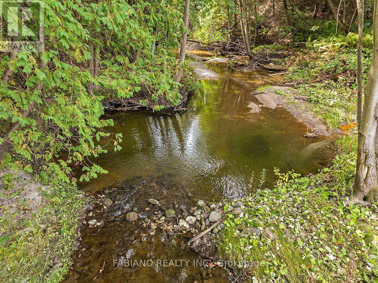 Fishing in your own backyard! - 4767 14Th Line, New Tecumseth, ON