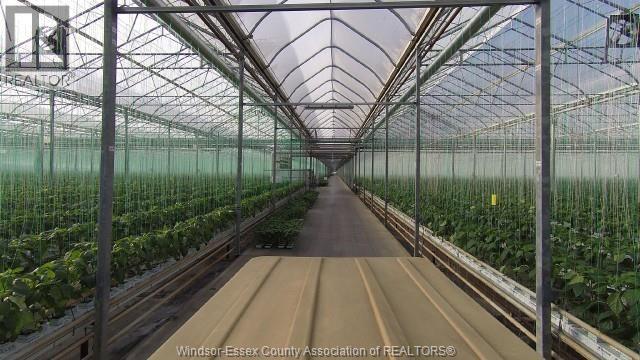 1475, 1501 County Rd 34, Kingsville, ON