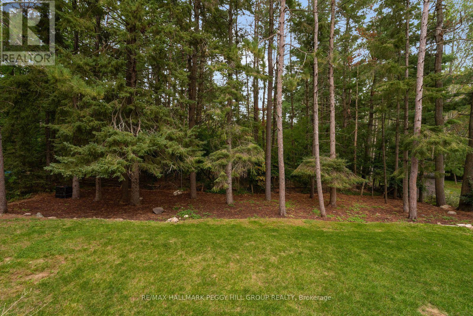 11 Colborne Street, Oro-Medonte, ON