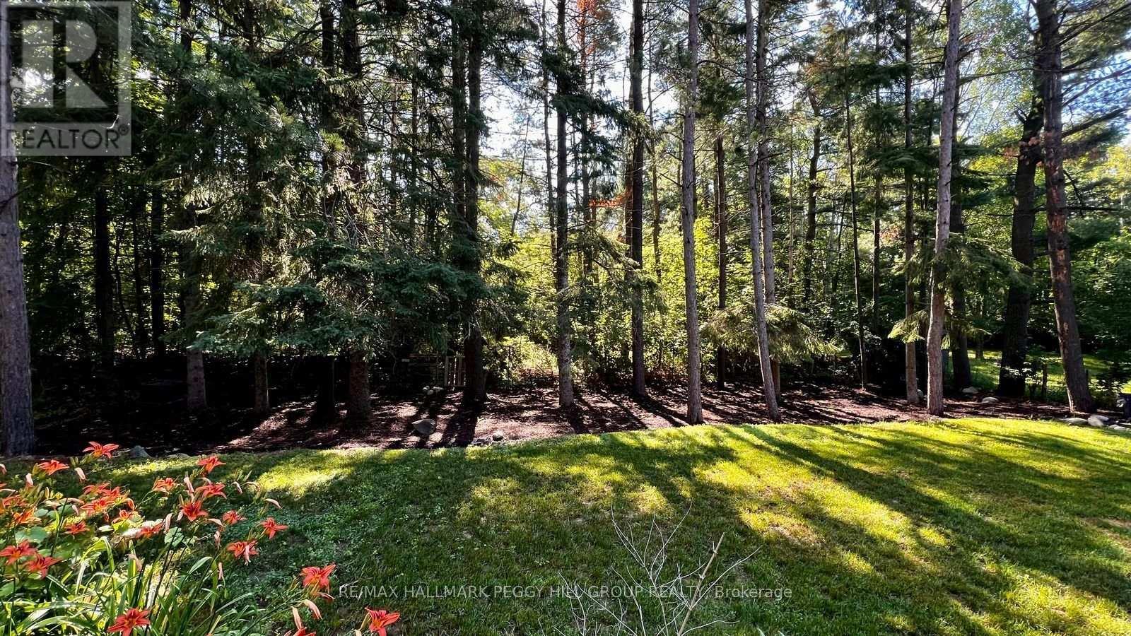 11 Colborne Street, Oro-Medonte, ON