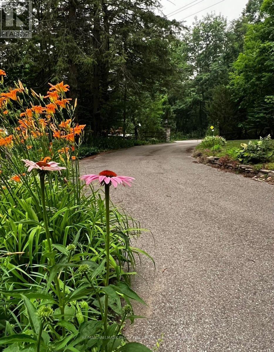 11 Colborne Street, Oro-Medonte, ON
